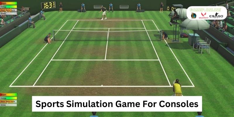 Sports Simulation Game For Consoles